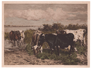 Vintage Calendar Art cows, cattle, livestock, farm life, etc.